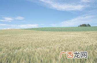 一海里等于陆地多少公里,9海里等于陆地上多少公里？