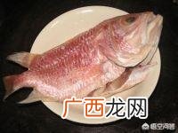 红稠鱼的做法,红烧红鲷鱼怎么做好吃，红烧红鲷鱼的家常做法？