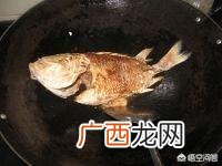 红稠鱼的做法,红烧红鲷鱼怎么做好吃，红烧红鲷鱼的家常做法？