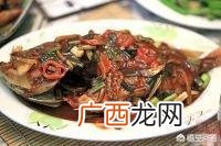 红稠鱼的做法,红烧红鲷鱼怎么做好吃，红烧红鲷鱼的家常做法？
