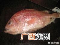 红稠鱼的做法,红烧红鲷鱼怎么做好吃，红烧红鲷鱼的家常做法？