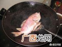 红稠鱼的做法,红烧红鲷鱼怎么做好吃，红烧红鲷鱼的家常做法？