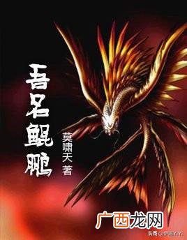 英雄联盟小说完本有哪些,推荐几部洪荒流的小说哈，要完本？