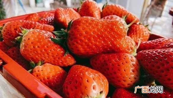 草莓能存放多久