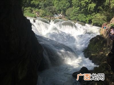 黄果树指的是什么,《黄果树瀑布》4、5、6、7、自然段主要写了什么?