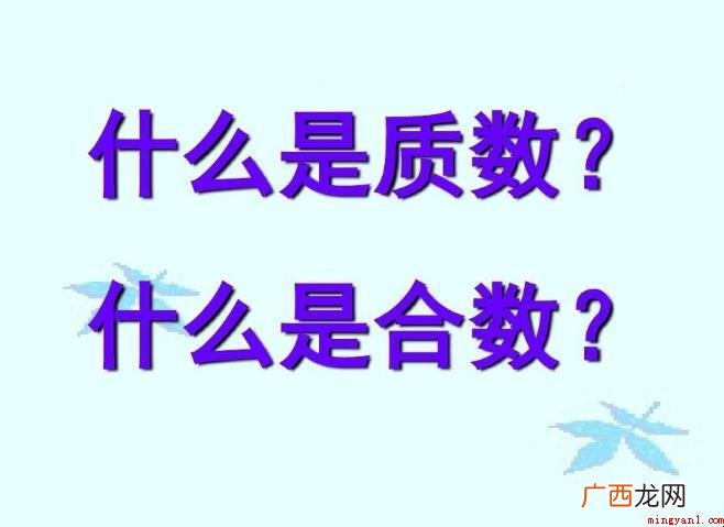 251是质数吗