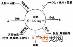 能源物质有哪些,能源物资有哪些？