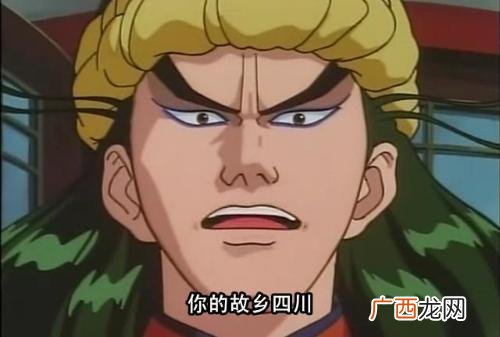 中华小当家阿飞,动漫中华小当家男主职业？