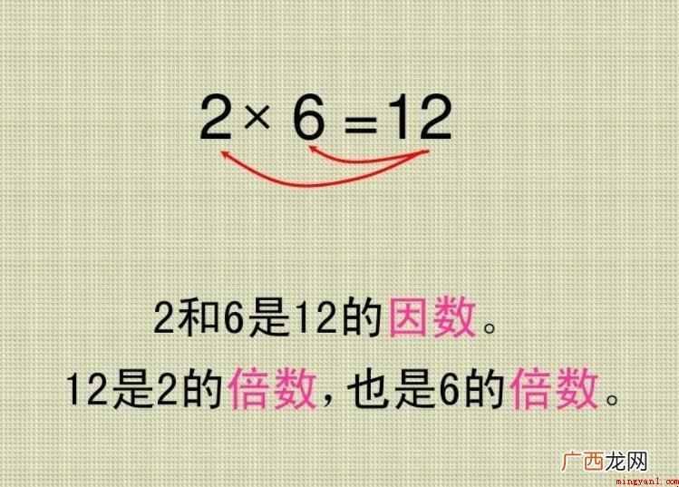 十二的因数有哪些