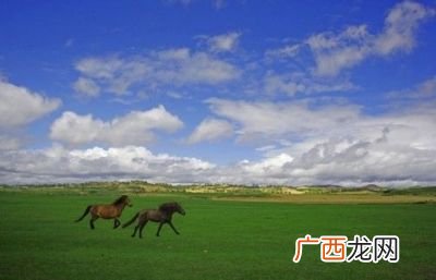 关于草原的诗句,描写北方草原的古诗？