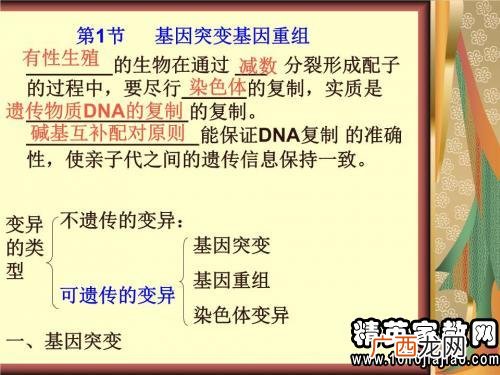 生物问题基因突变的意义,基因突变发生在什么时期？