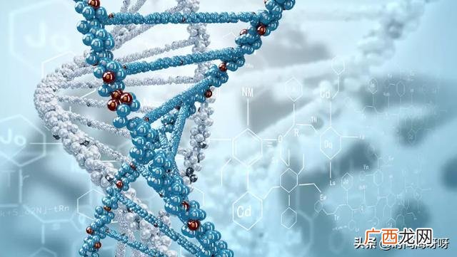 生物问题基因突变的意义,基因突变发生在什么时期？