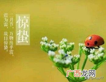 惊蛰节气的含义是什么,惊蛰是什么意思？