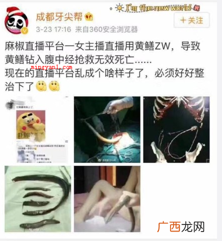 继皮皮虾、象拔蚌我们走以后,黄鳝也成了网民们的座骑神兽之一了 黄鳝我们走是什么梗