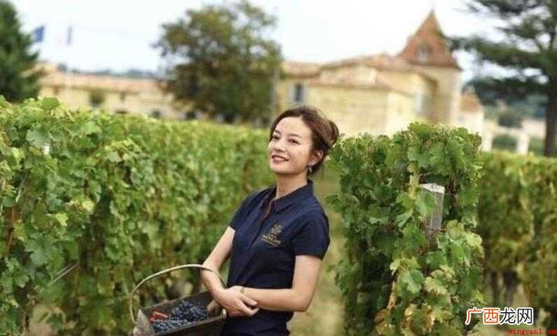 赵薇的酒庄在哪里 梦洛酒庄酿造的葡萄酒呈现深石榴色