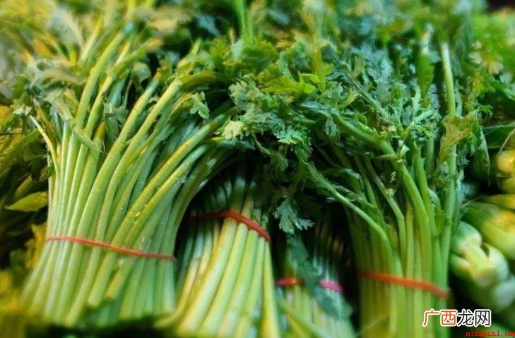 茼蒿形态特征有哪些