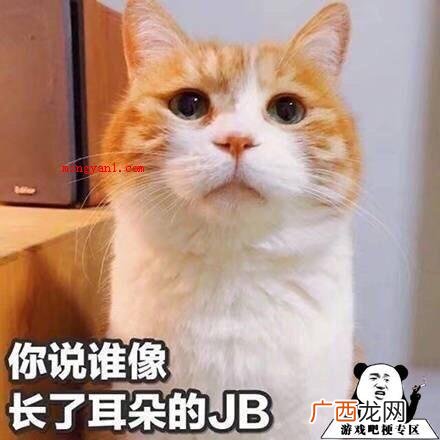 2018年全新网络流行语有什么 2018年十大网络流行语排行榜是什么意思