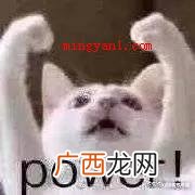 米兰达警告是什么梗 米兰达警告是什么意思