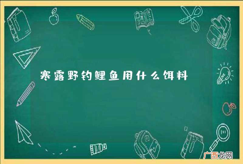 寒露野钓鲤鱼用什么饵料