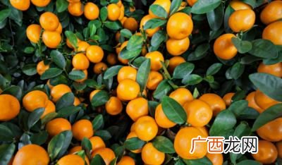 橘逾淮而北为枳意思,橘逾淮为枳什么意思？