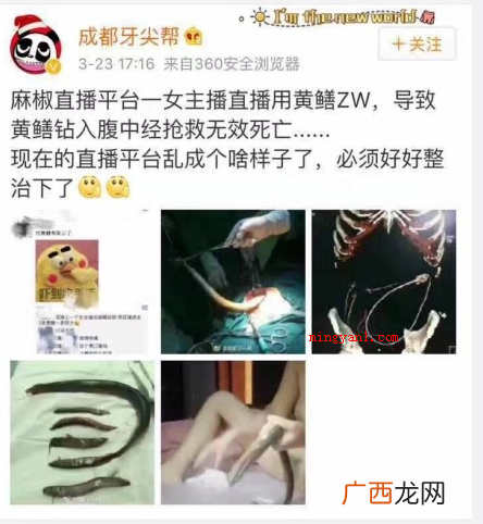脑残千万种直播占一半,直播里涵盖了各色各样的奇怪 麻椒直播是什么意思