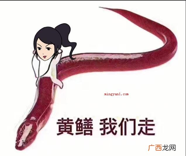 脑残千万种直播占一半,直播里涵盖了各色各样的奇怪 麻椒直播是什么意思
