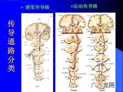 什么是浅反射深反射,折射与反射的区别？