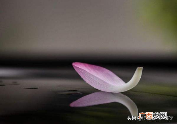 一沙一世界一叶一菩提什么意思,一花一世界,一叶一追寻。一曲一场叹,一生为一人的本意是什么?