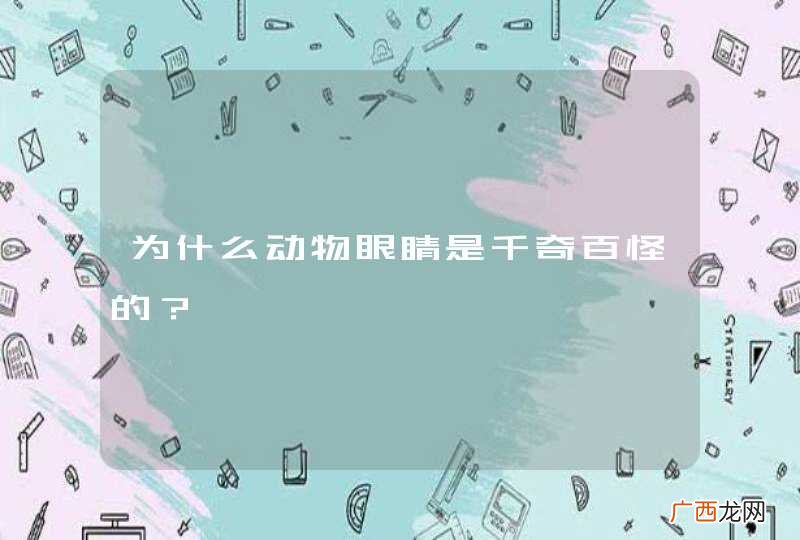 为什么动物眼睛是千奇百怪的？