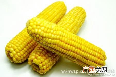 玉米卡路里是多少,一根玉米多少两？