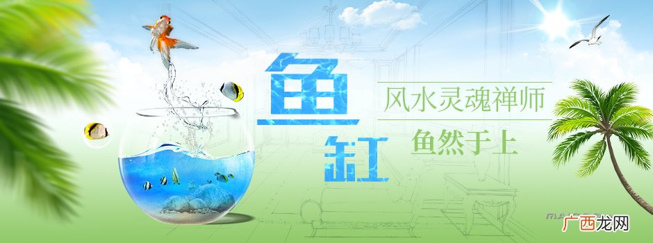 鱼缸最佳旺财位置 鱼缸摆放位置风水图