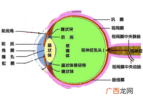 几何光学中的视场是怎么定义的,光切法的基本原理？
