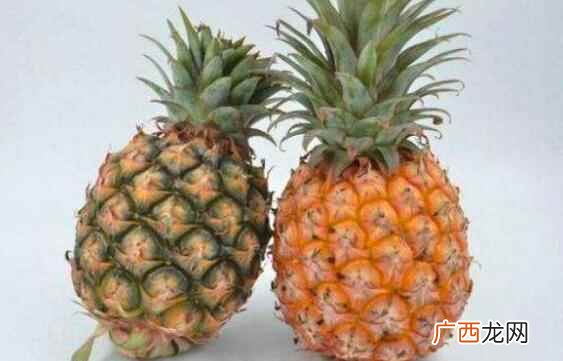 菠萝和凤梨的营养价值区别 菠萝和凤梨的区别