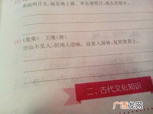 鹿柴古诗全诗意思是啥,鹿柴的后两句写意思是描写什么？