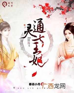 通灵王妃的小说叫什么名字,通灵妃是什么朝代？