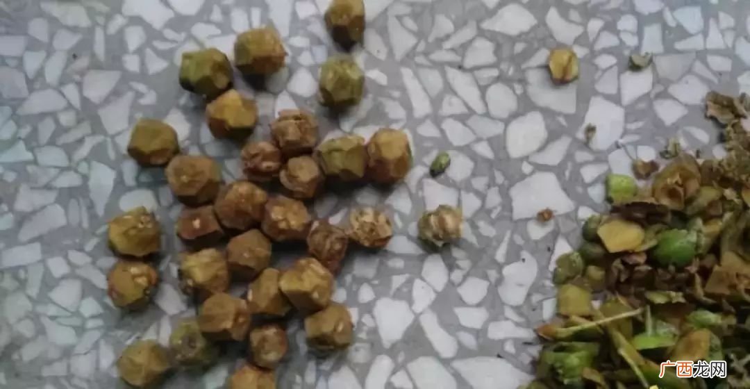 几月份的山楂能做手串,吉祥果手串是什么做的？