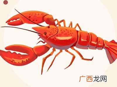 小龙虾壳可以吃吗