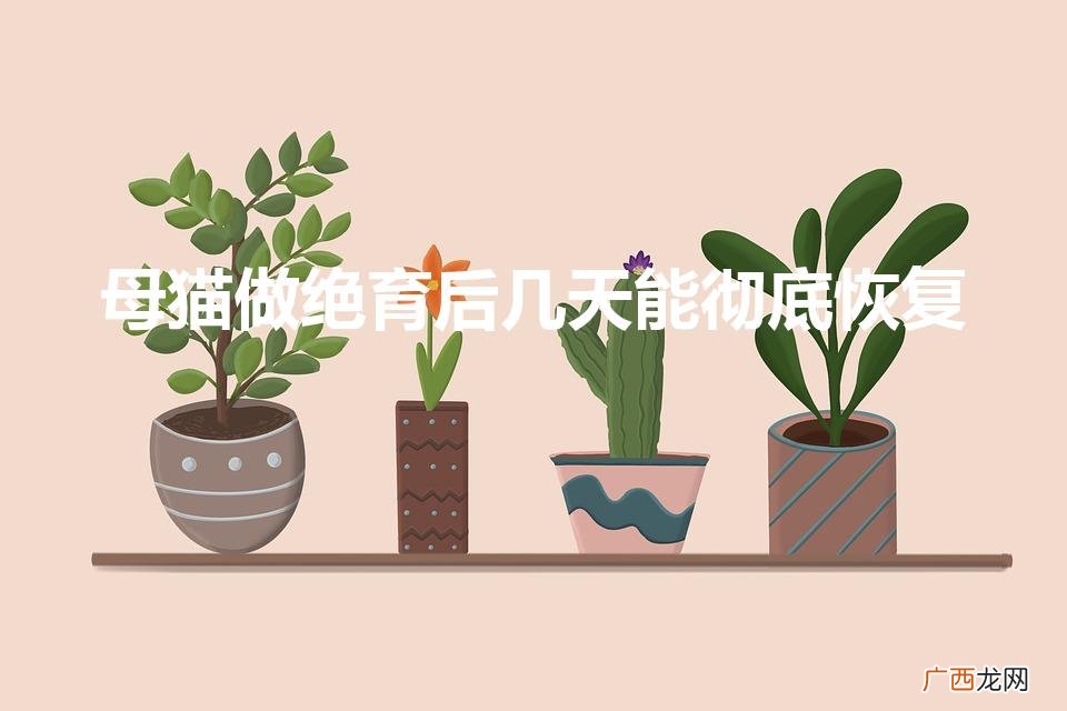 母猫做绝育后几天能彻底恢复（猫发几次情就不发了)