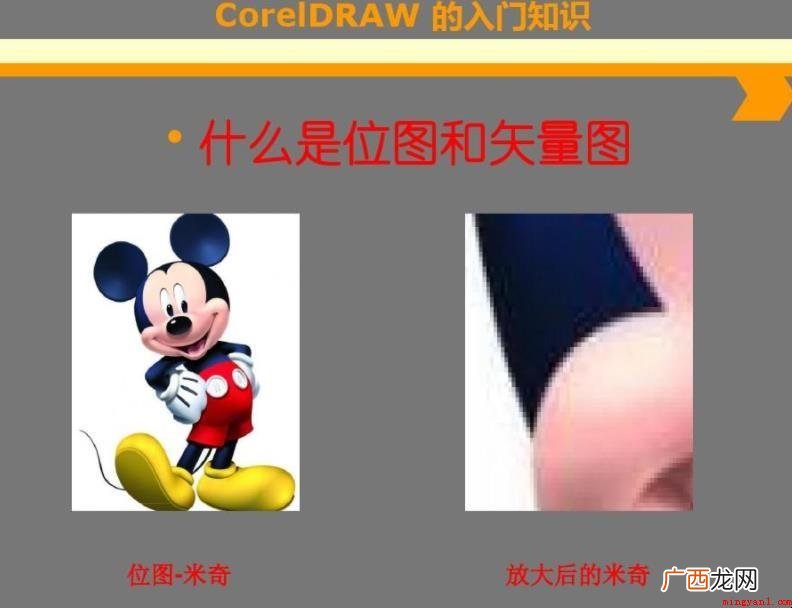 什么是位图