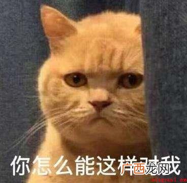 一般指玻璃心 blx是什么意思
