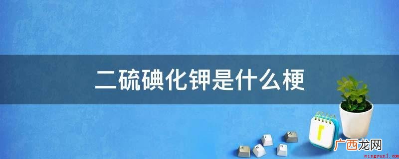 二硫碘化钾在网络用词中的意思 二硫碘化钾是什么梗