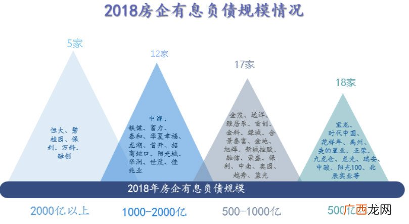 有息负债是什么,什么叫有息负债规模？