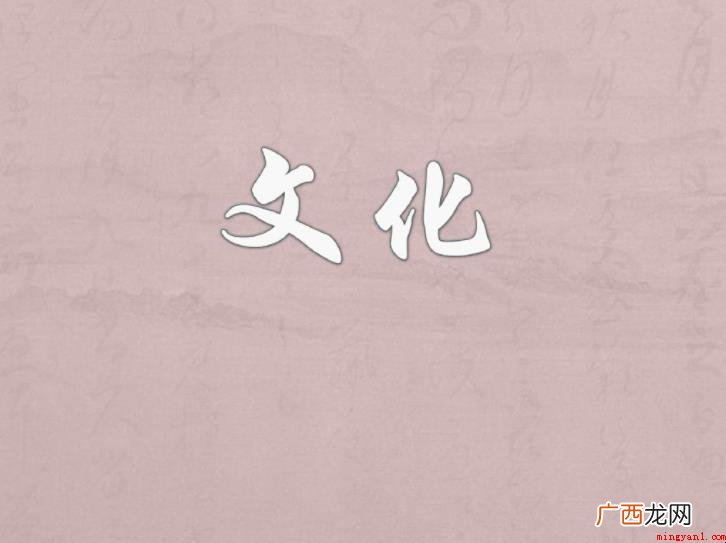 什么是文化的定义