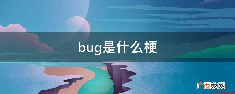 bug通常指的意思是缺陷、系统漏洞、不合理的存有之意 bug是什么梗