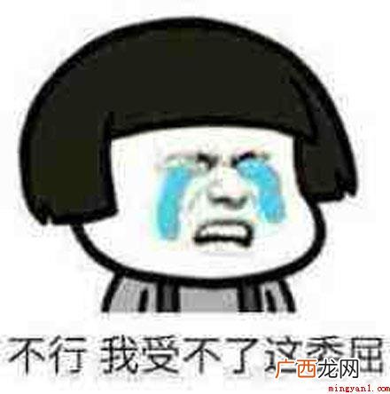 某一互联网搞笑视频中，一位外卖员的自叙 你这个糟老头子坏得很