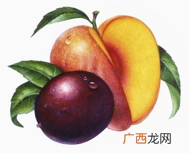 plum什么意思,plum文化内涵?