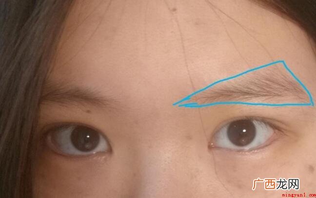 眉有几种眉