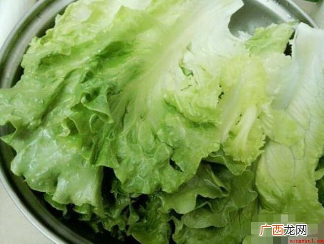 减肥蔬菜沙拉的简单做法是什么