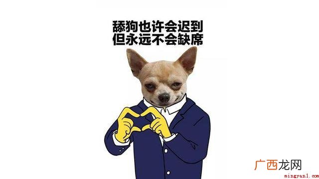 抖音短视频舔狗含意、含义、来源介绍 抖音舔狗是什么意思