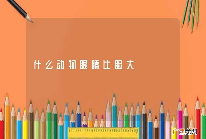什么动物眼睛比脸大